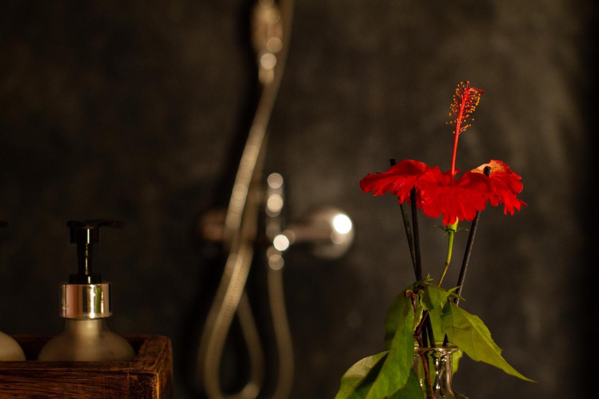 Kupaga Villas Boutique Hotel - Adults Only ジャンビアニ 部屋 写真